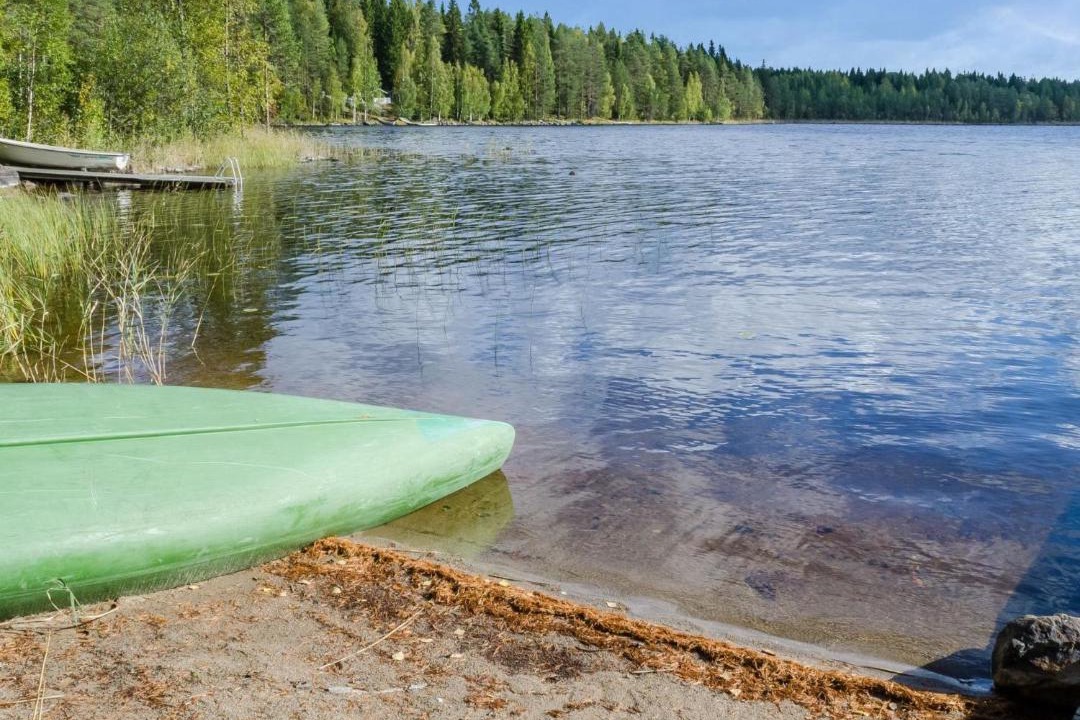 Photo of Others in Koli National Park