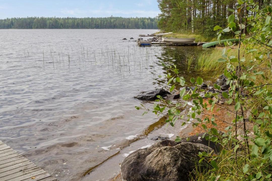 Photo of Others in Koli National Park