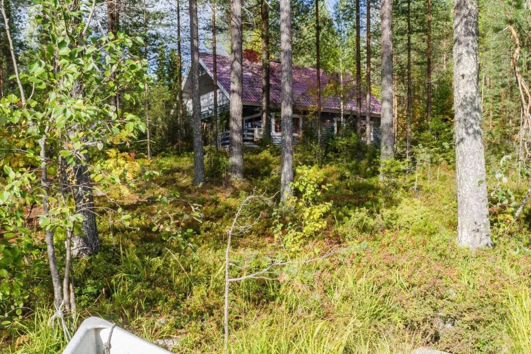 Photo of Others in Koli National Park