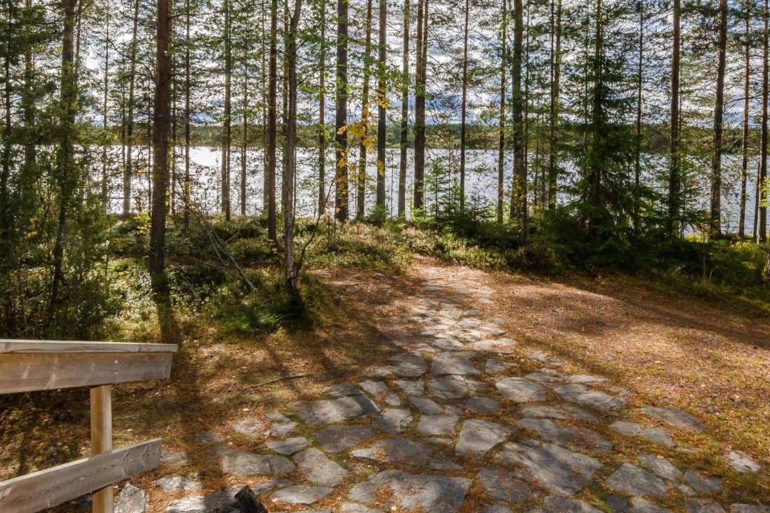 Photo of Others in Koli National Park