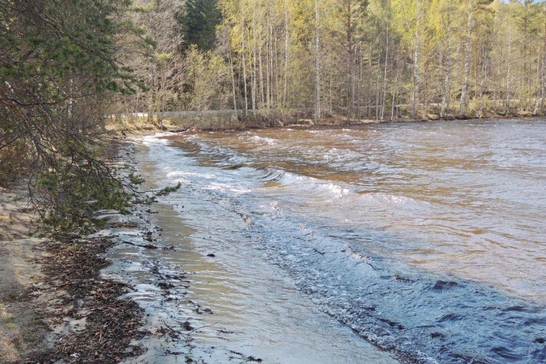 Photo of Others in Koli National Park
