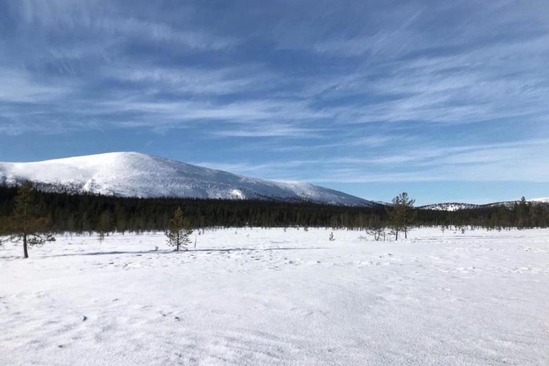 Photo of Others in Tunturi-Lappi