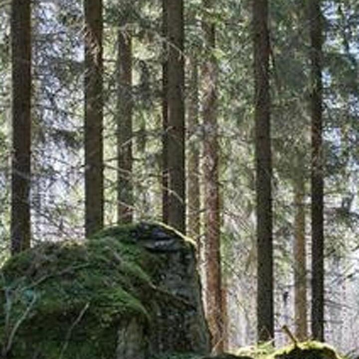 Photo of Others in Asikkala