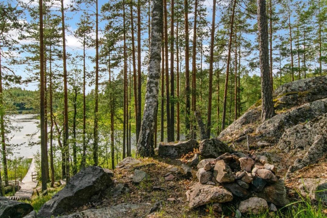 Photo of Others in Mantyharju