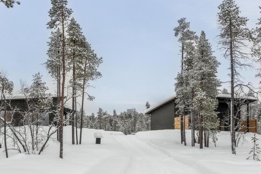 Photo of Others in Inari