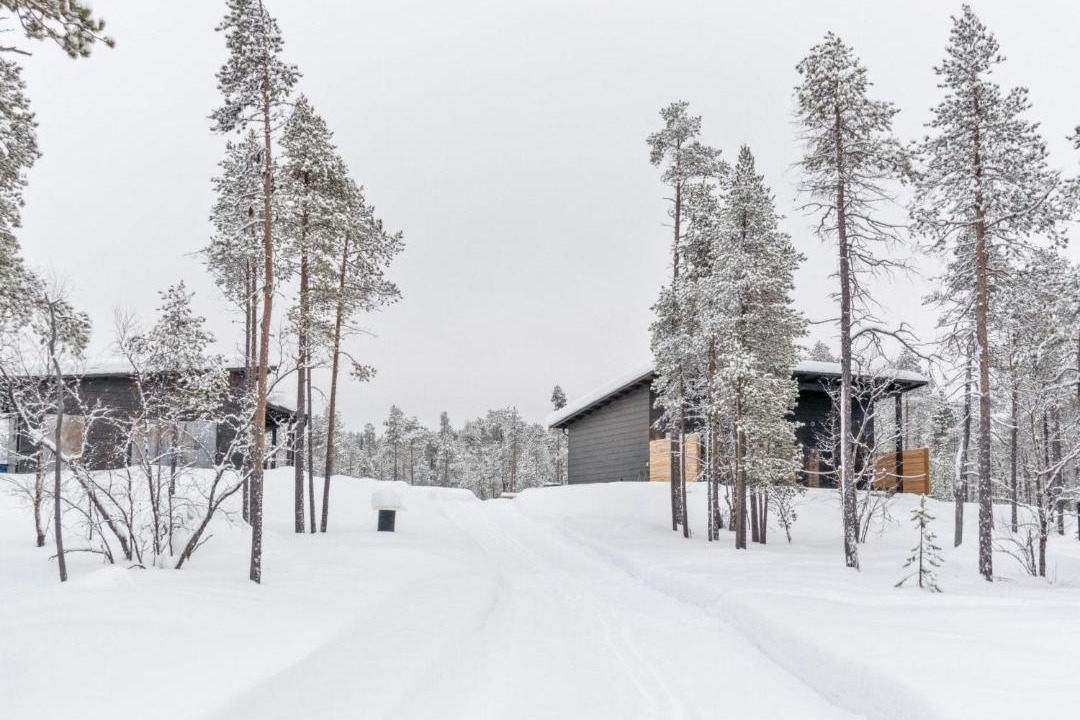 Photo of Others in Inari