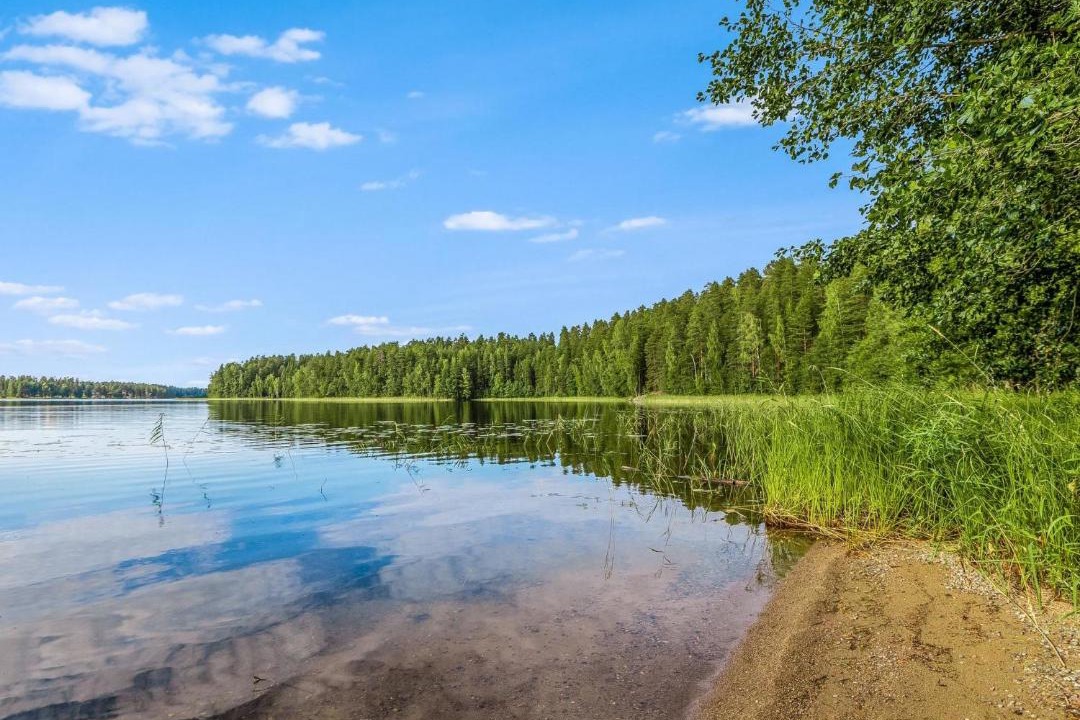 Photo of Others in Punkaharju