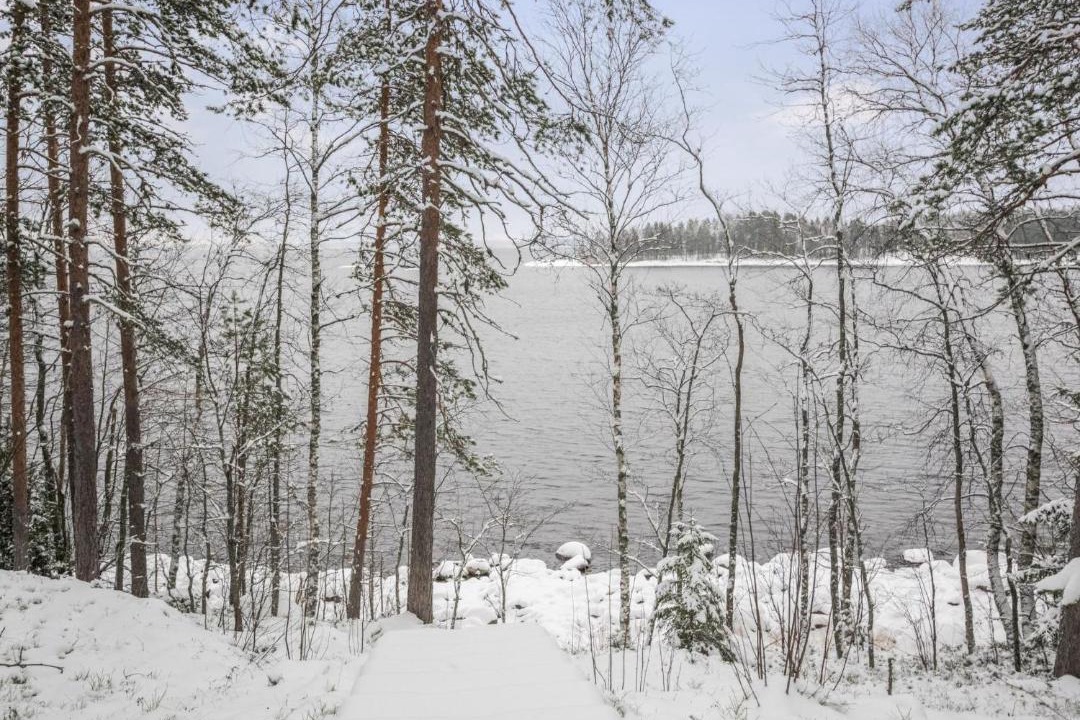Photo of Others in Savonlinna