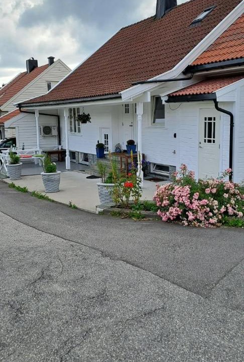 Photo of Others in Kristiansand
