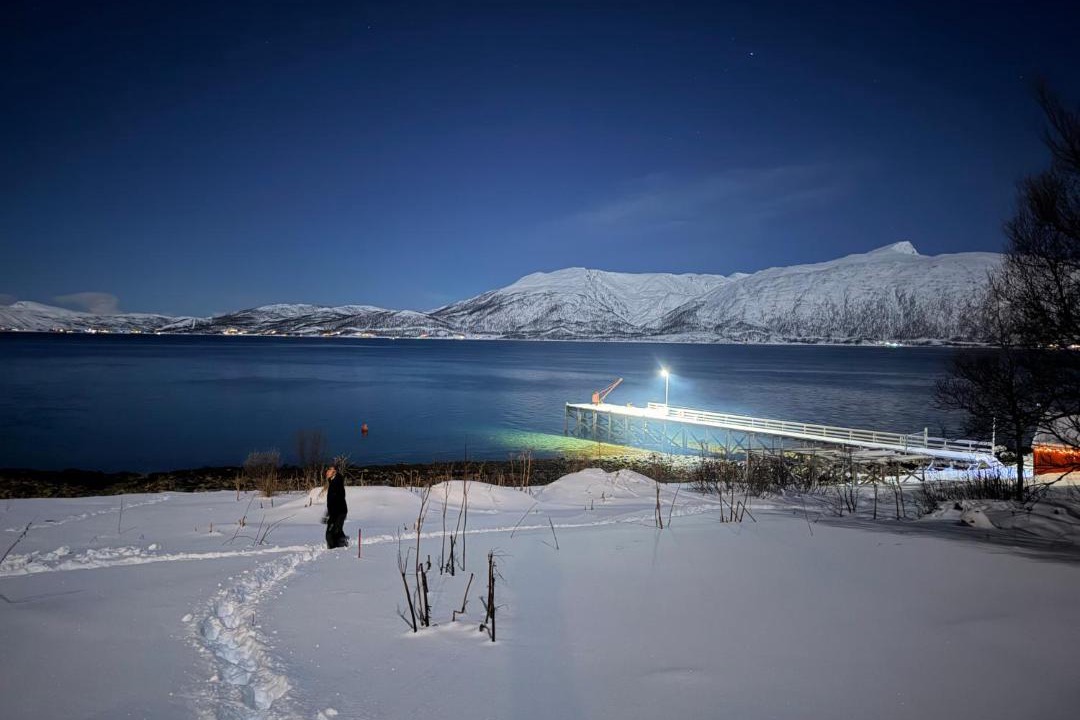 Photo of Others in Tromso