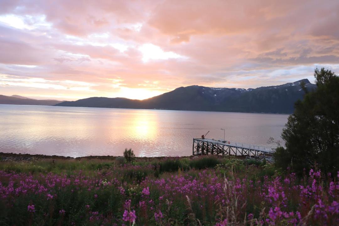 Photo of Others in Tromso
