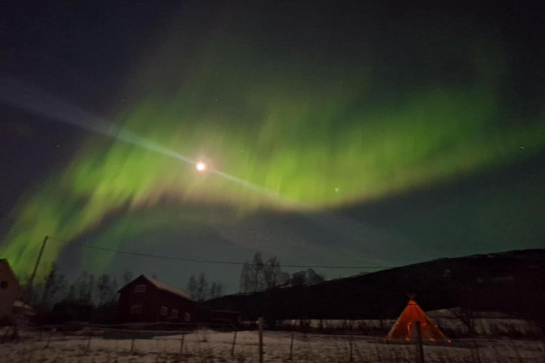 Photo of Others in Narvik