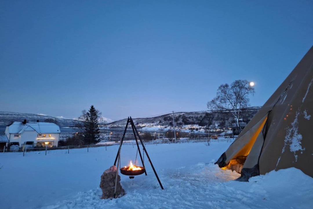 Photo of Others in Narvik