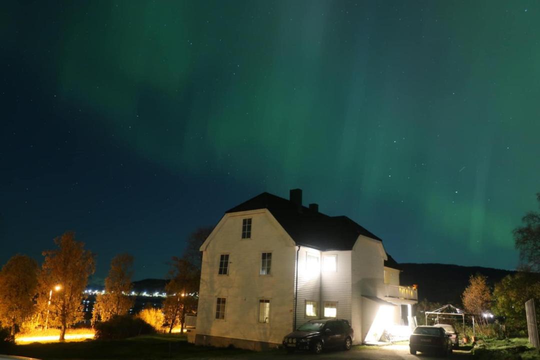 Photo of Others in Narvik