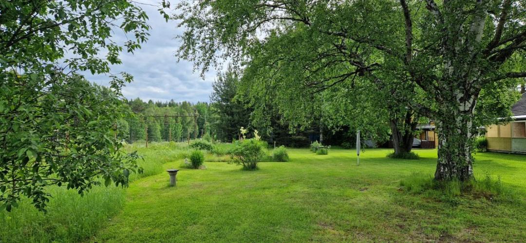 Photo of Others in Norrfors