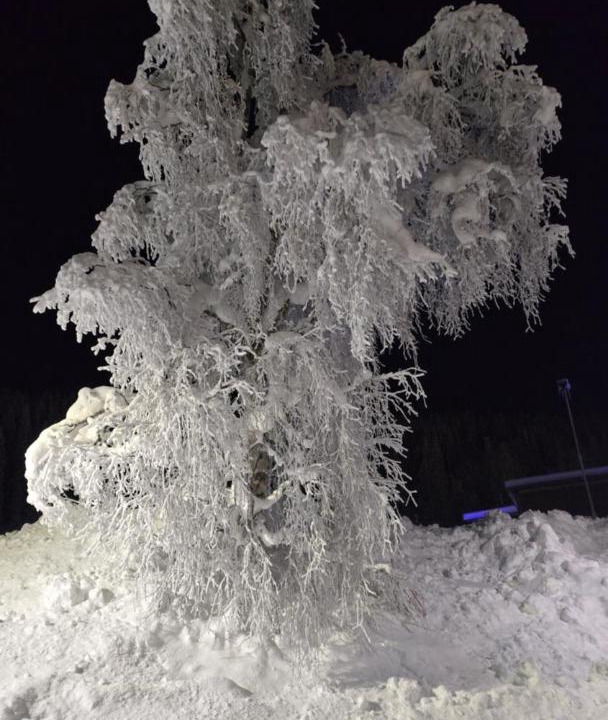 Photo of Others in Bardufoss
