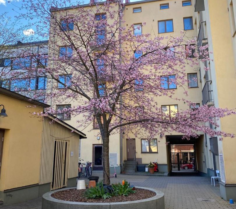 Photo of Others in Punavuori