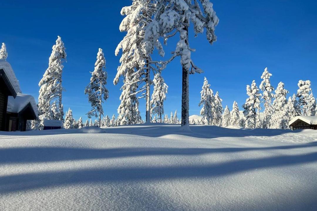 Photo of Others in Trysil