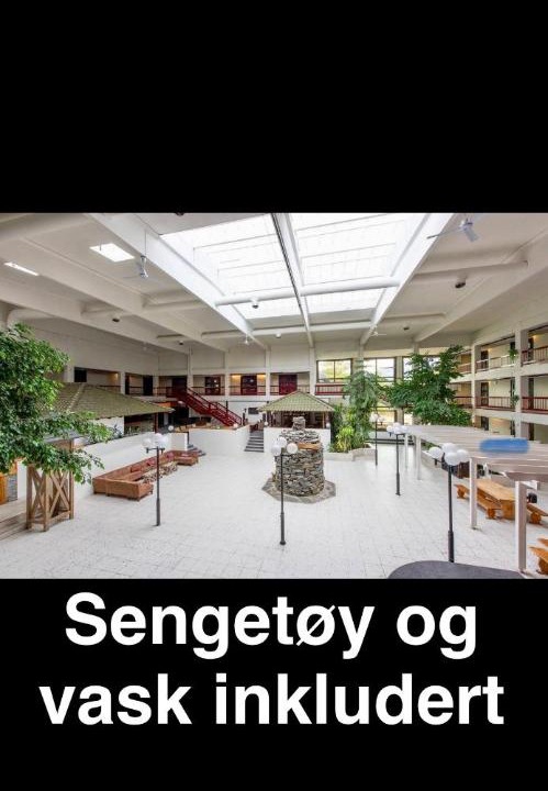 Photo of Others in Bjorli