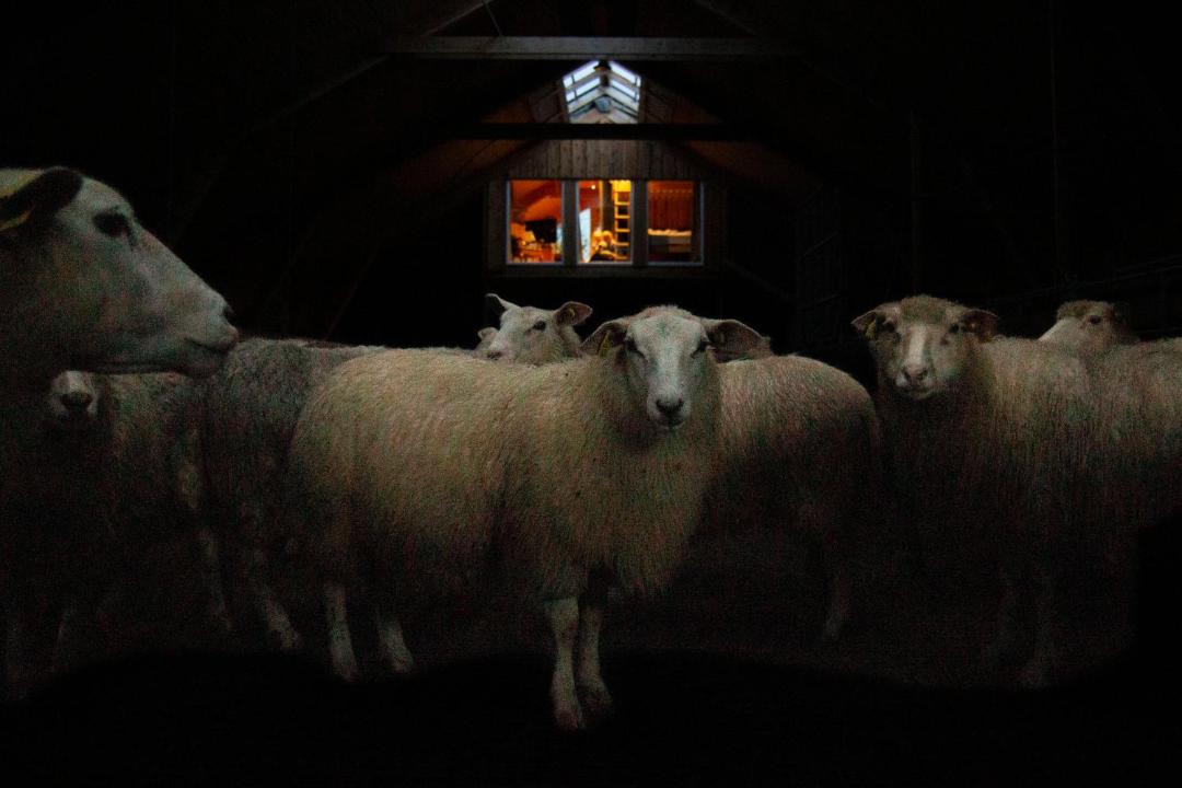 Photo of Others in Levanger