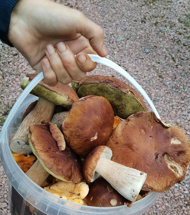 Photo of Others in Kangasniemi