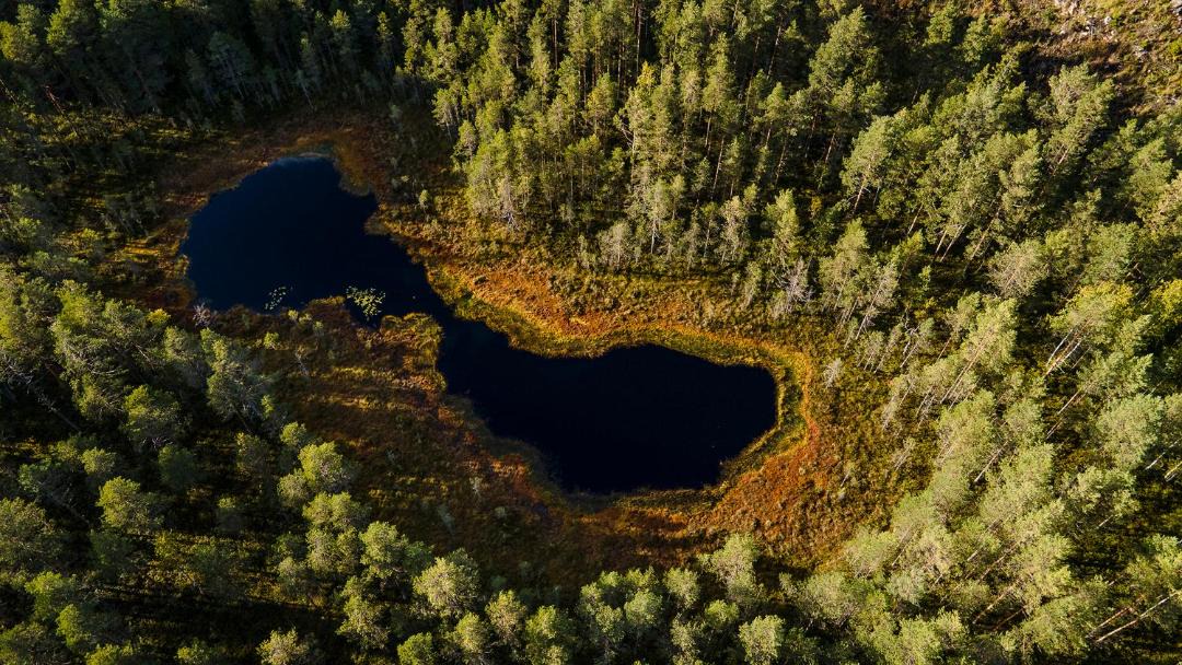 Photo of Others in Kangasniemi