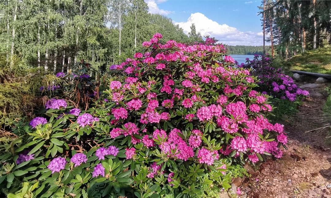 Photo of Others in Kangasniemi