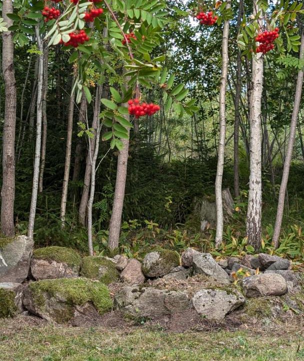 Photo of Others in Nykroppa
