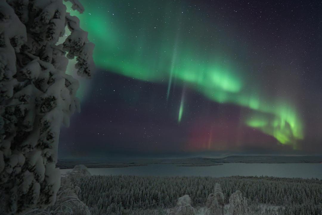 Photo of Others in Rovaniemi