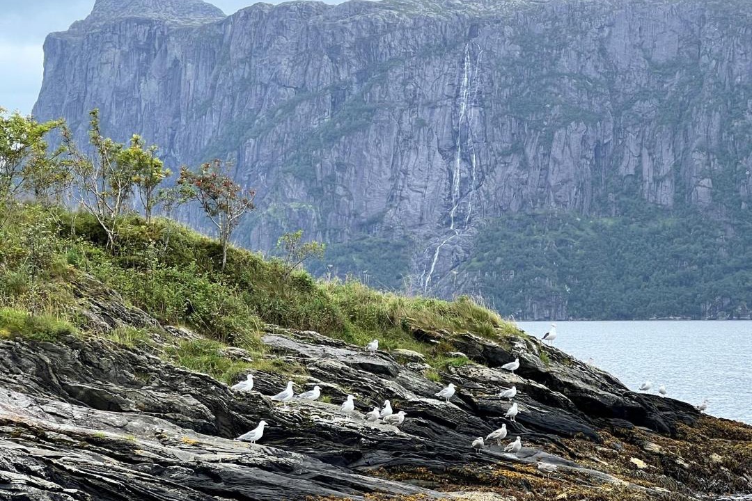Photo of Others in Hyllestad