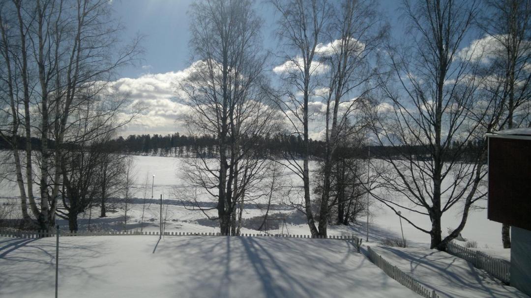 Photo of Others in Viitasaari