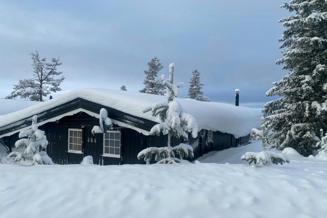 Photo of Others in Engerdal