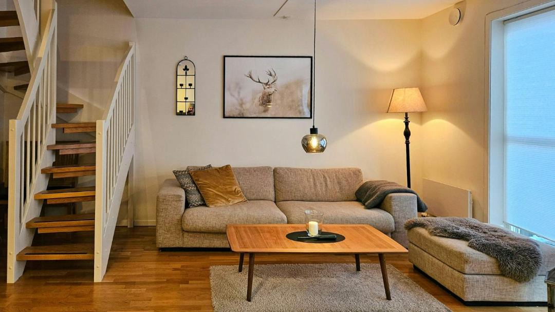 Photo of Livingroom in Fidjeland