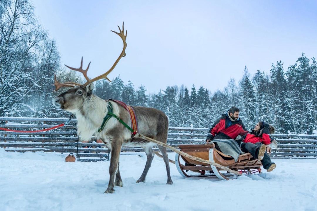 Photo of Others in Rovaniemi