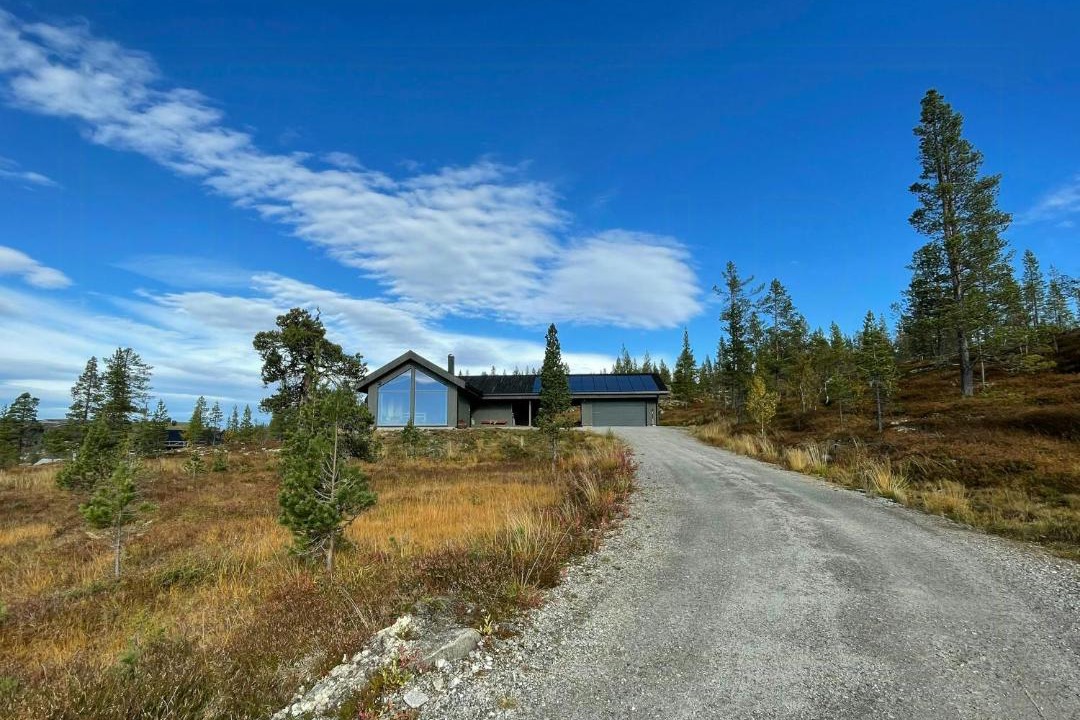 Photo of Others in Tynset