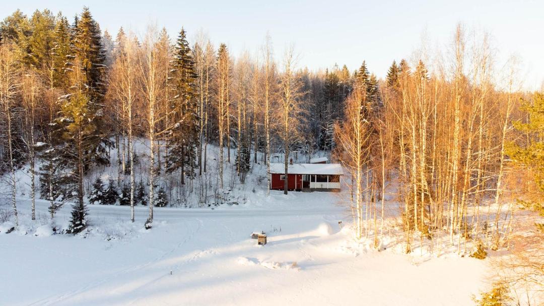 Photo of Others in Koli National Park