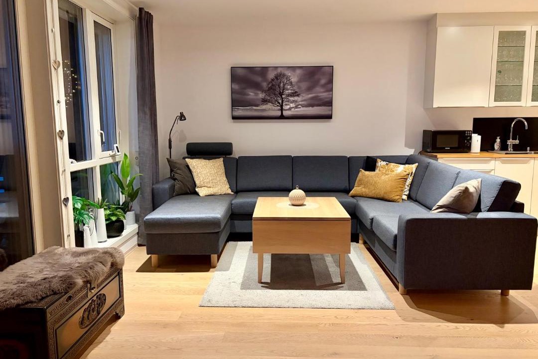 Photo of Livingroom in Tromso