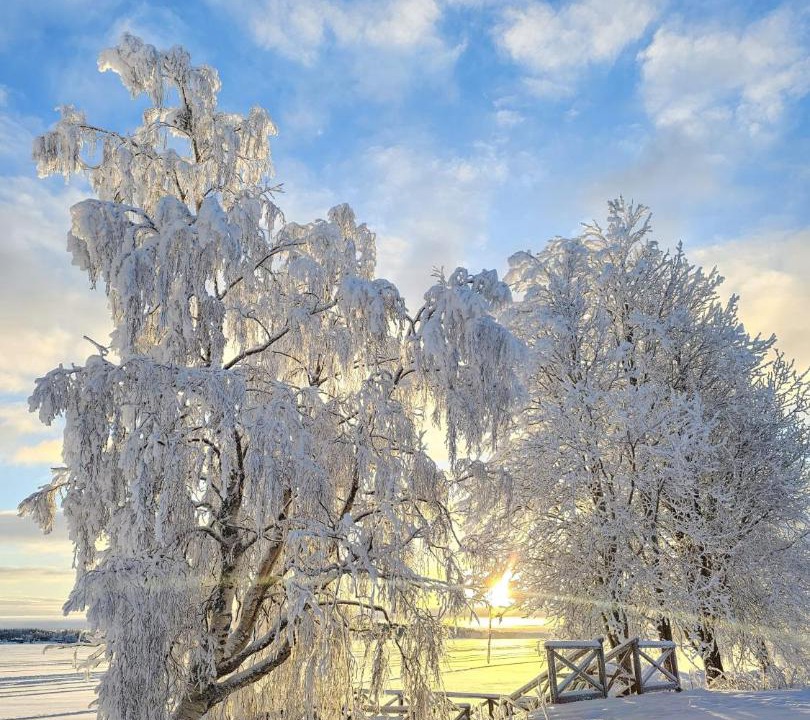 Photo of Others in Keminmaa