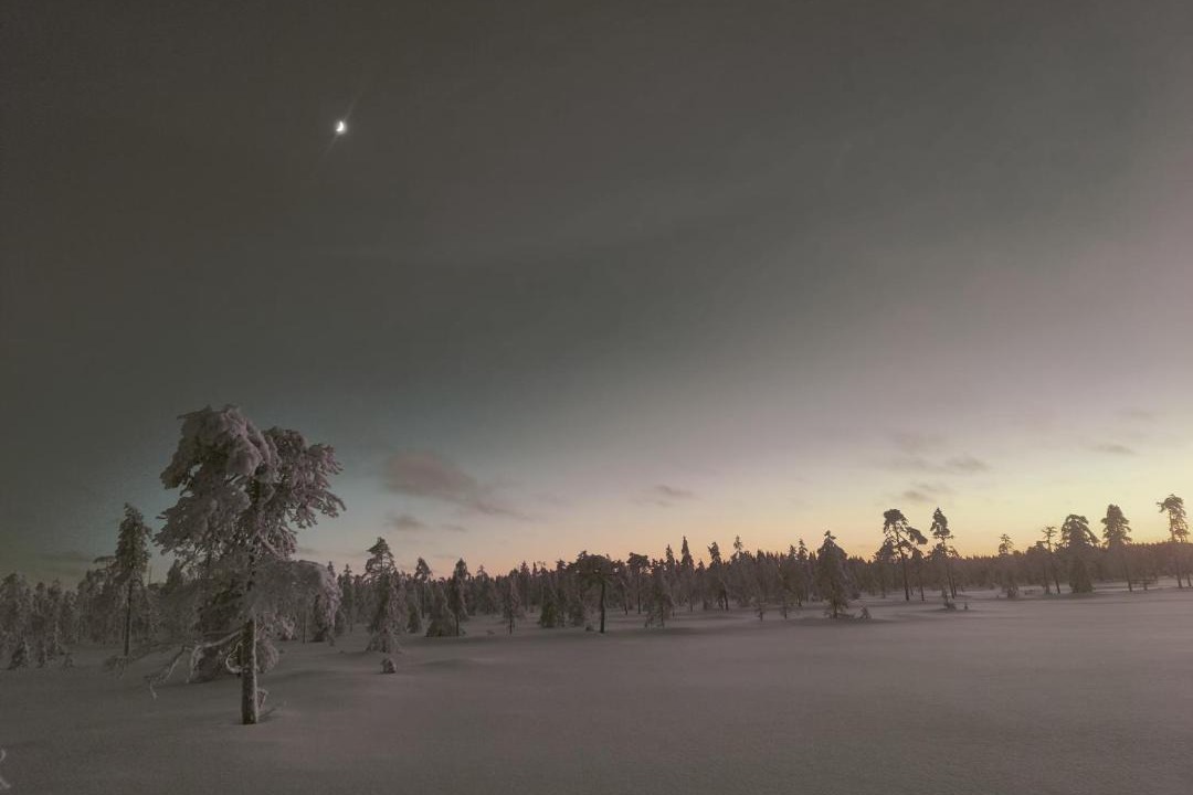 Photo of Others in Rovaniemi