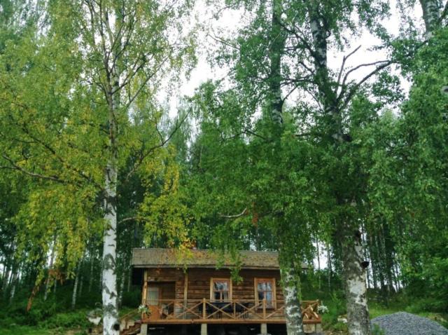 Photo of Others in Hiukkajoki