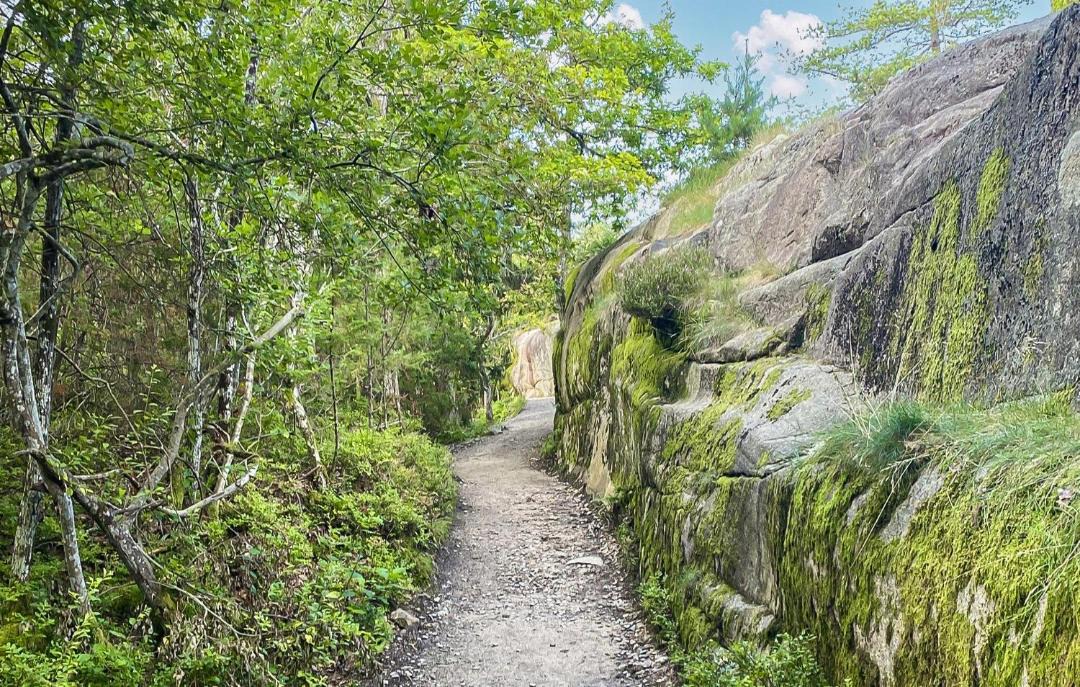 Photo of Others in Hvaler