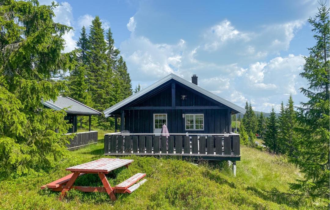 Photo of Others in Sjusjoen