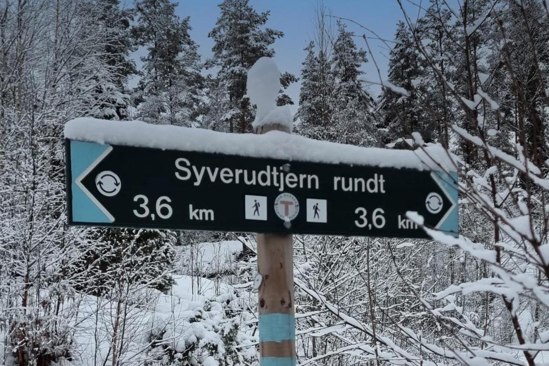 Photo of Others in Ski