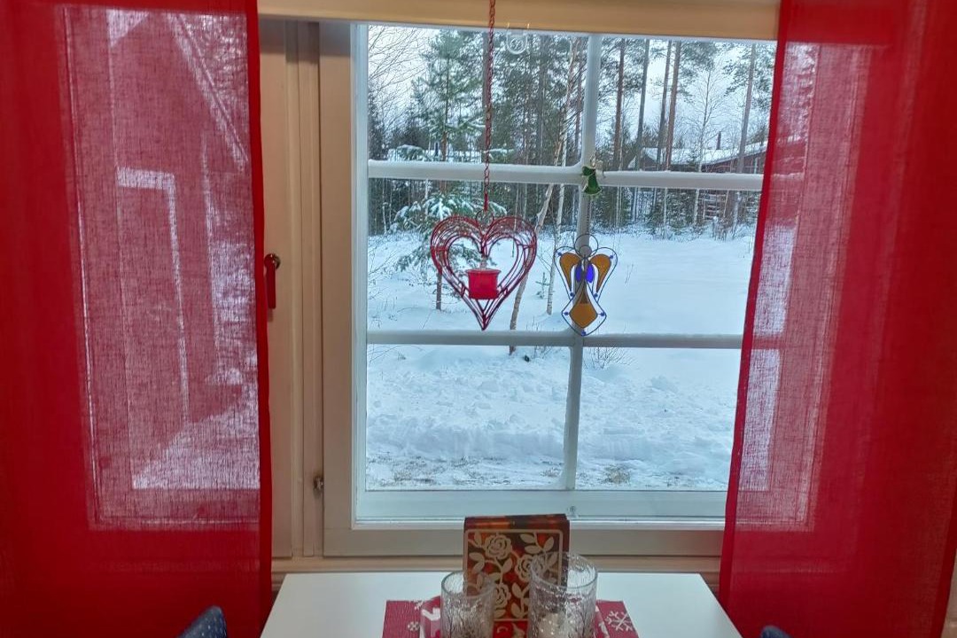 Photo of Others in Rovaniemi