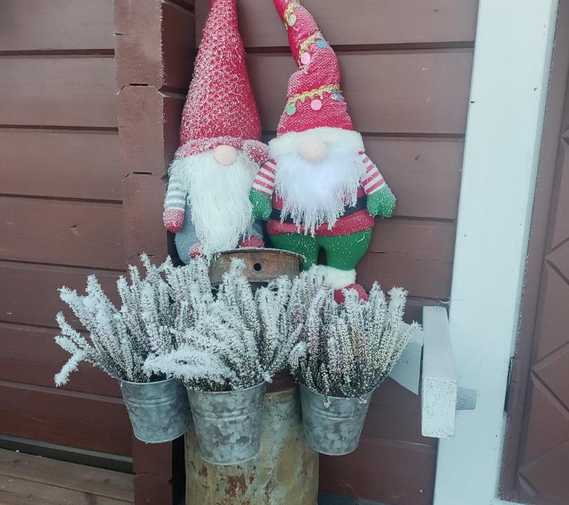 Photo of Others in Rovaniemi
