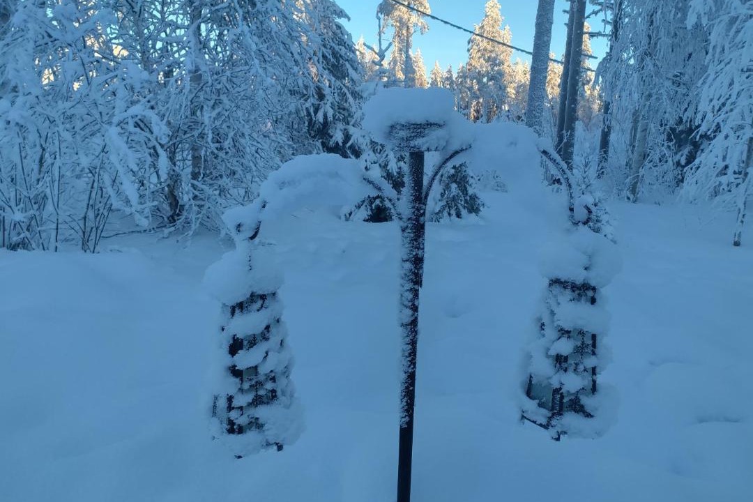Photo of Others in Rovaniemi