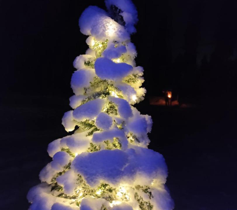 Photo of Others in Rovaniemi