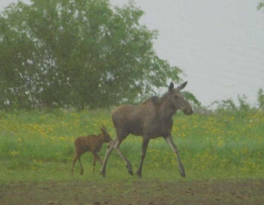 Photo of Others in Stode