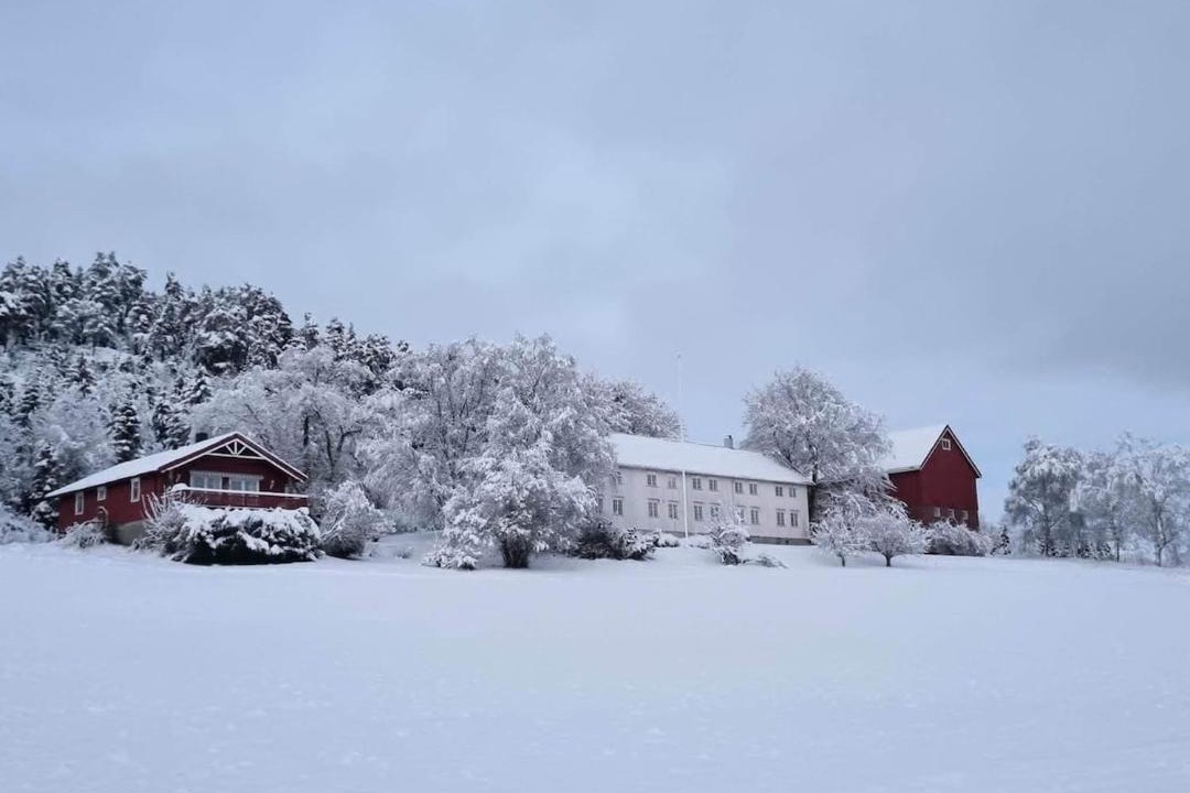 Photo of Others in Steinkjer