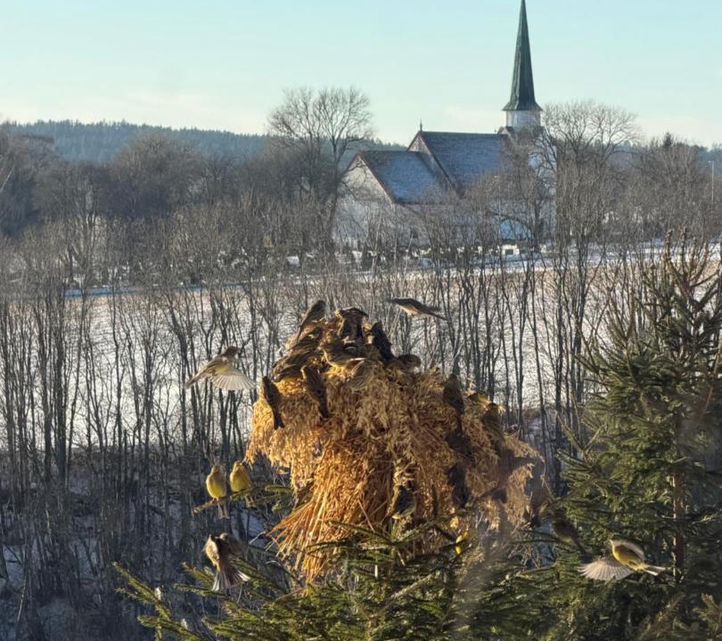 Photo of Others in Rakkestad